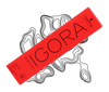 Farba do włosów Schwarzkopf Igora Royal 5-16 jasny brąz 60 ml
