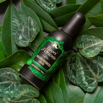 Perfumy męski woda perfumowana Tesori d'Oriente Drzewo Sandałowe 100 ml