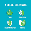 Płyn do płukania jamy ustnej LISTERINE Cool Mint Łagodny Smak 0% alc. 250ml